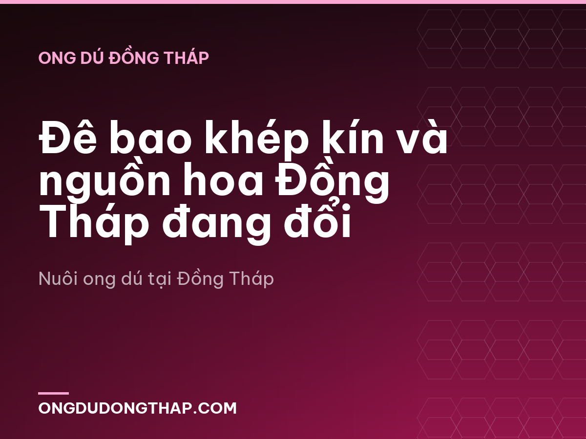 Đê bao khép kín và nguồn hoa Đồng Tháp đang đổi