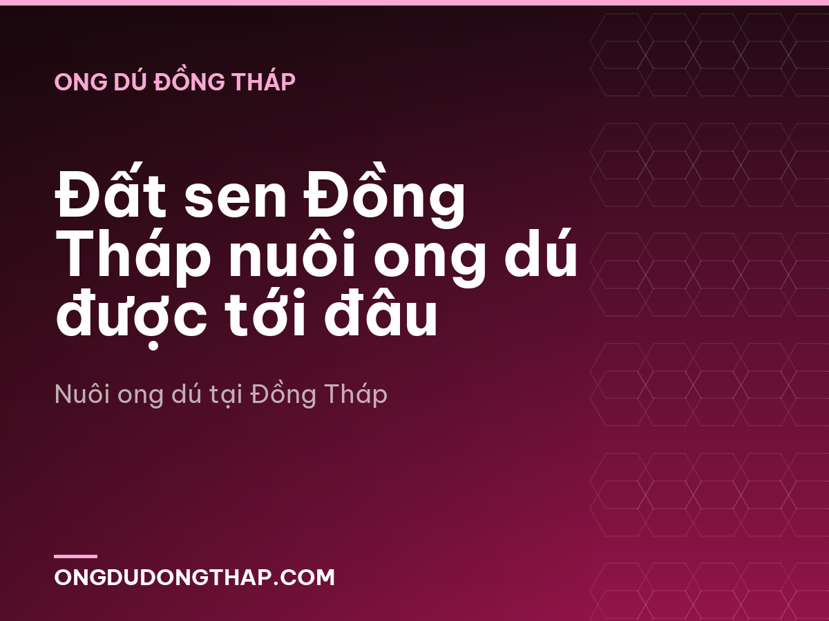 Đất sen Đồng Tháp nuôi ong dú được tới đâu