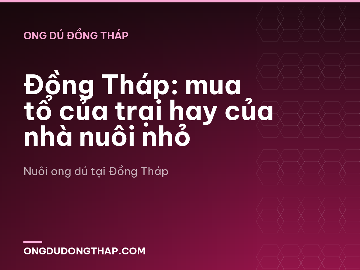 Đồng Tháp: mua tổ của trại hay của nhà nuôi nhỏ