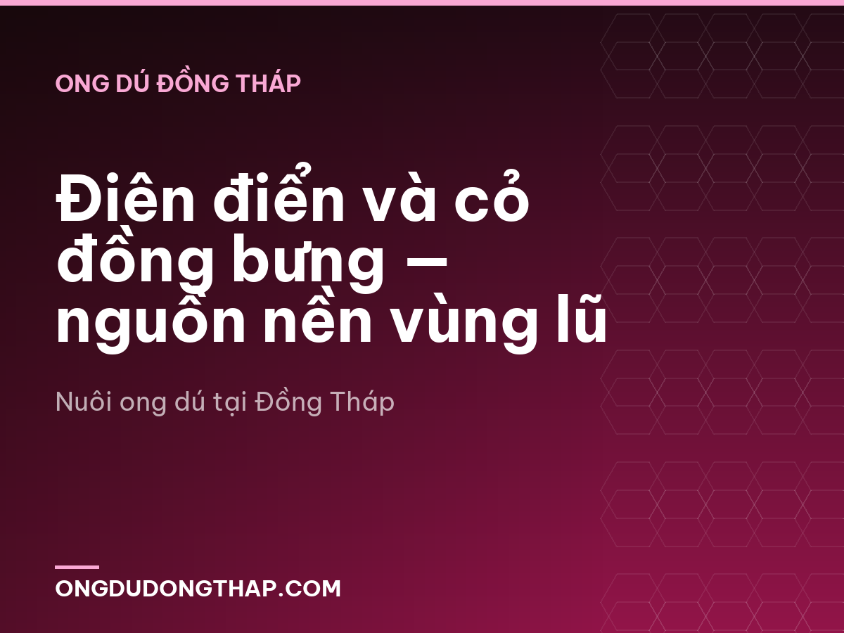 Điên điển và cỏ đồng bưng — nguồn nền vùng lũ