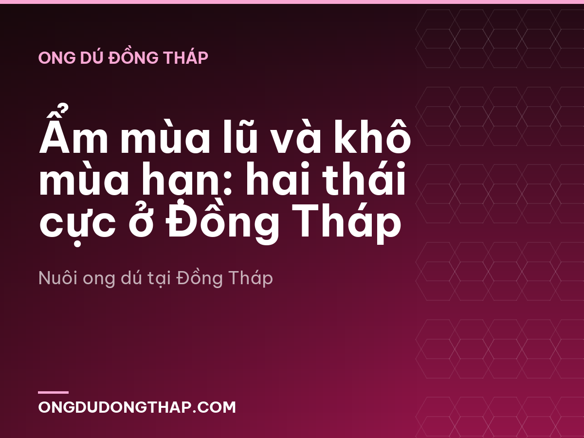 Ẩm mùa lũ và khô mùa hạn: hai thái cực ở Đồng Tháp
