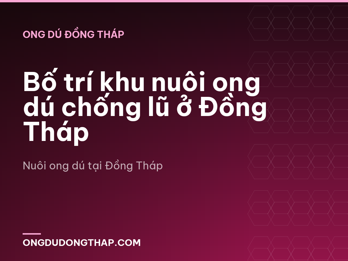 Bố trí khu nuôi ong dú chống lũ ở Đồng Tháp