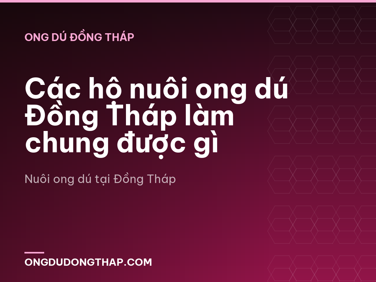Các hộ nuôi ong dú Đồng Tháp làm chung được gì