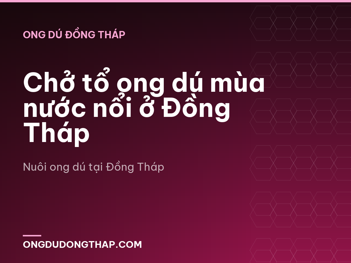 Chở tổ ong dú mùa nước nổi ở Đồng Tháp