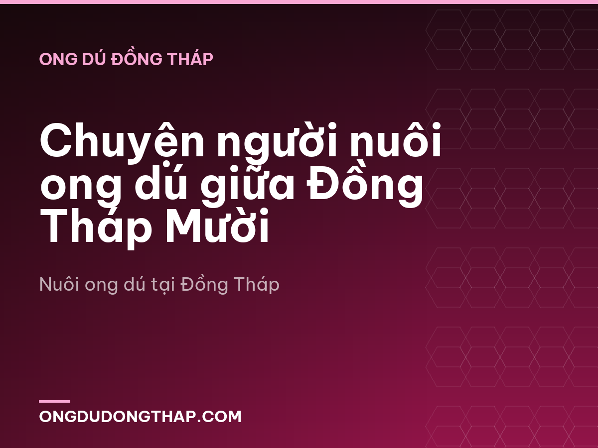 Chuyện người nuôi ong dú giữa Đồng Tháp Mười