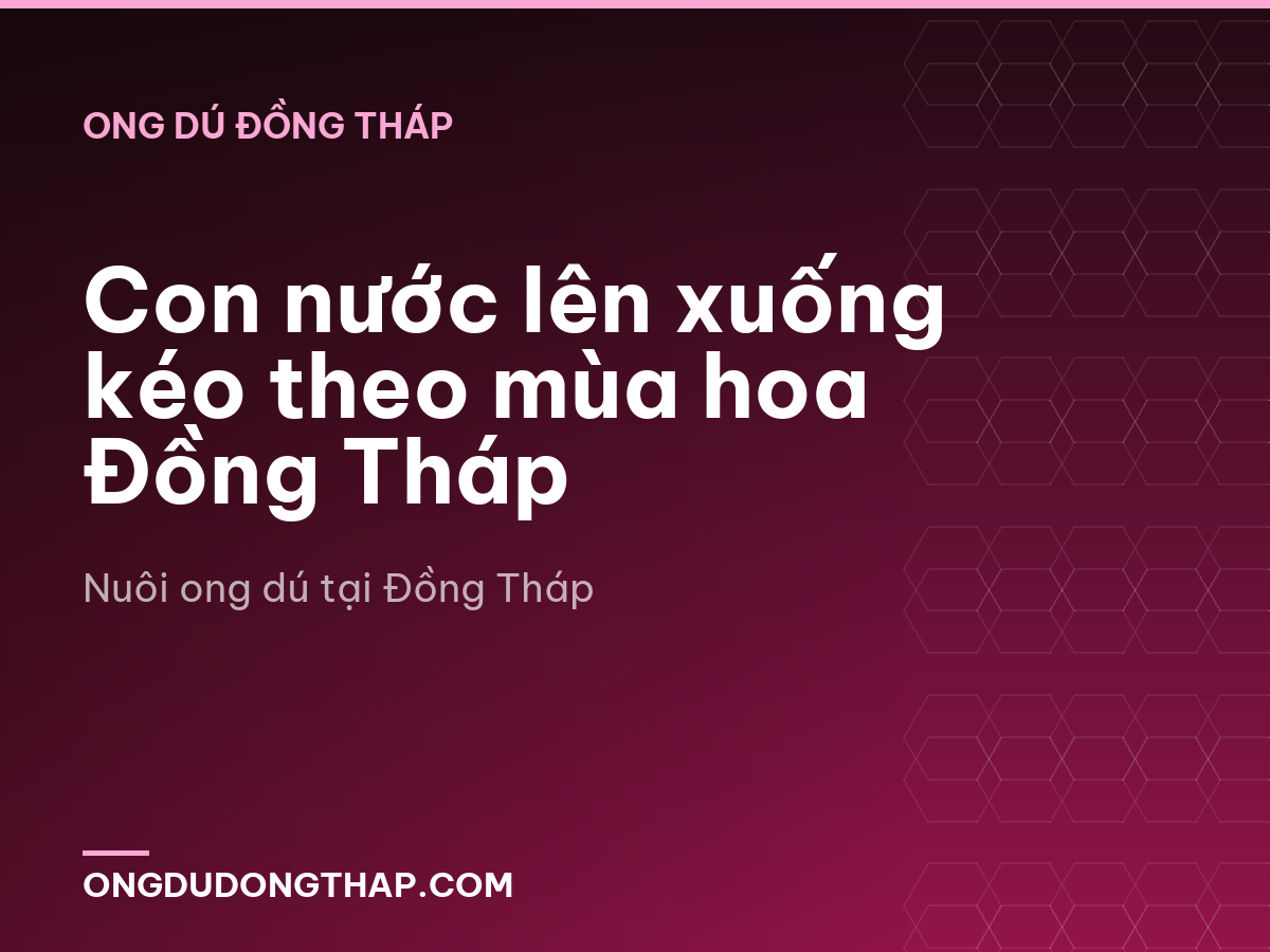 Con nước lên xuống kéo theo mùa hoa Đồng Tháp
