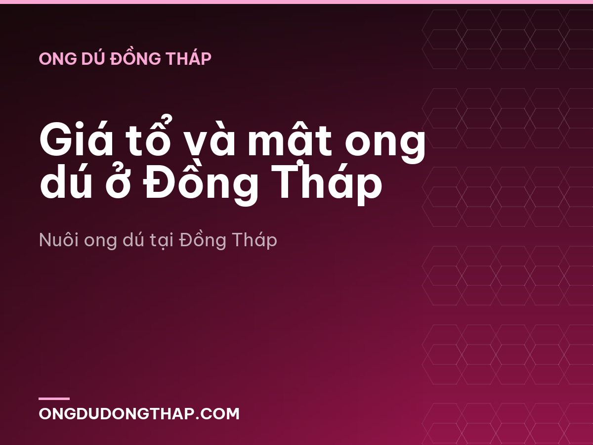 Giá tổ và mật ong dú ở Đồng Tháp
