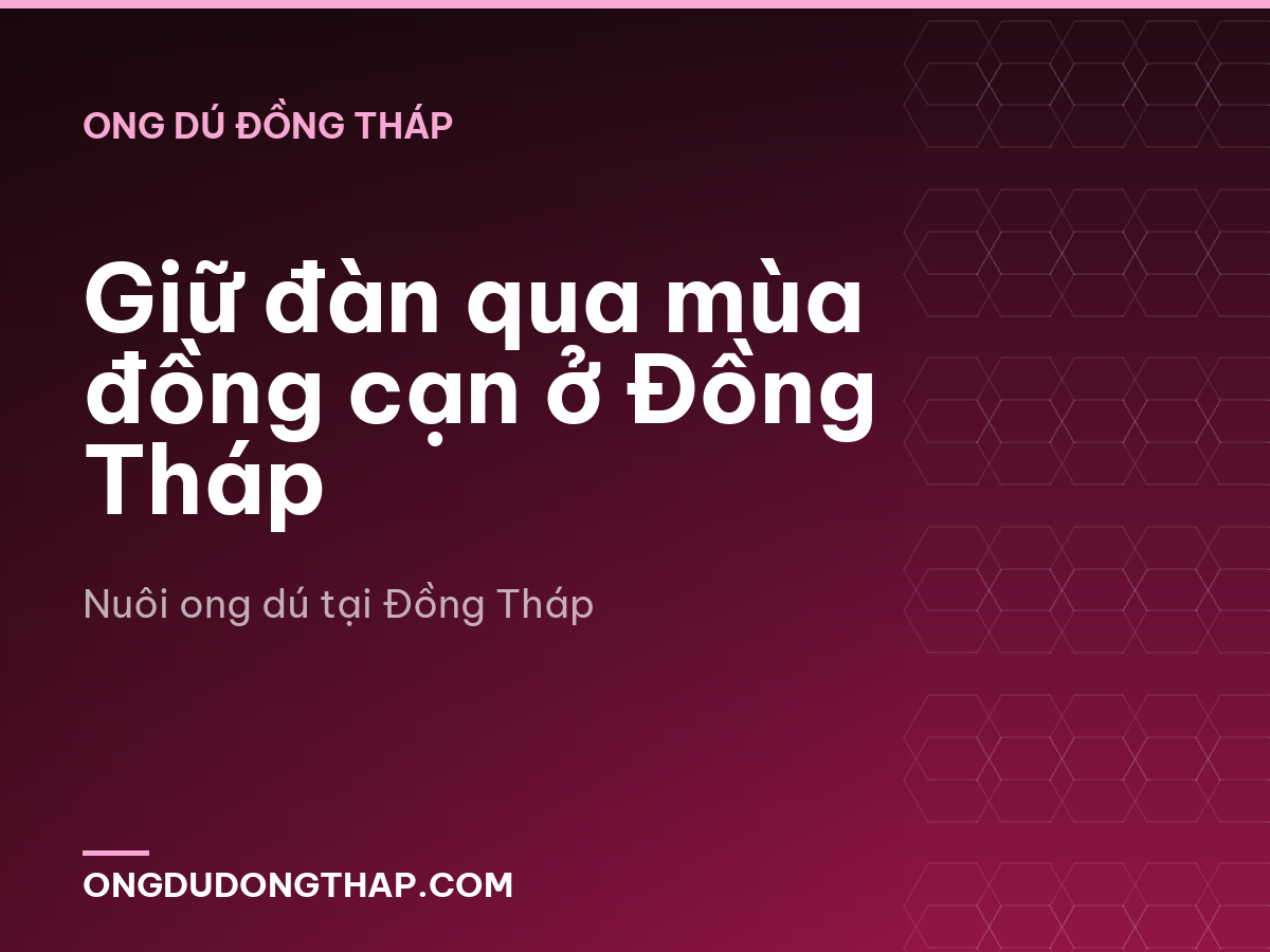 Giữ đàn qua mùa đồng cạn ở Đồng Tháp