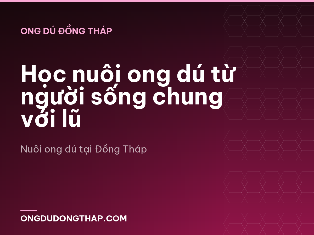 Học nuôi ong dú từ người sống chung với lũ