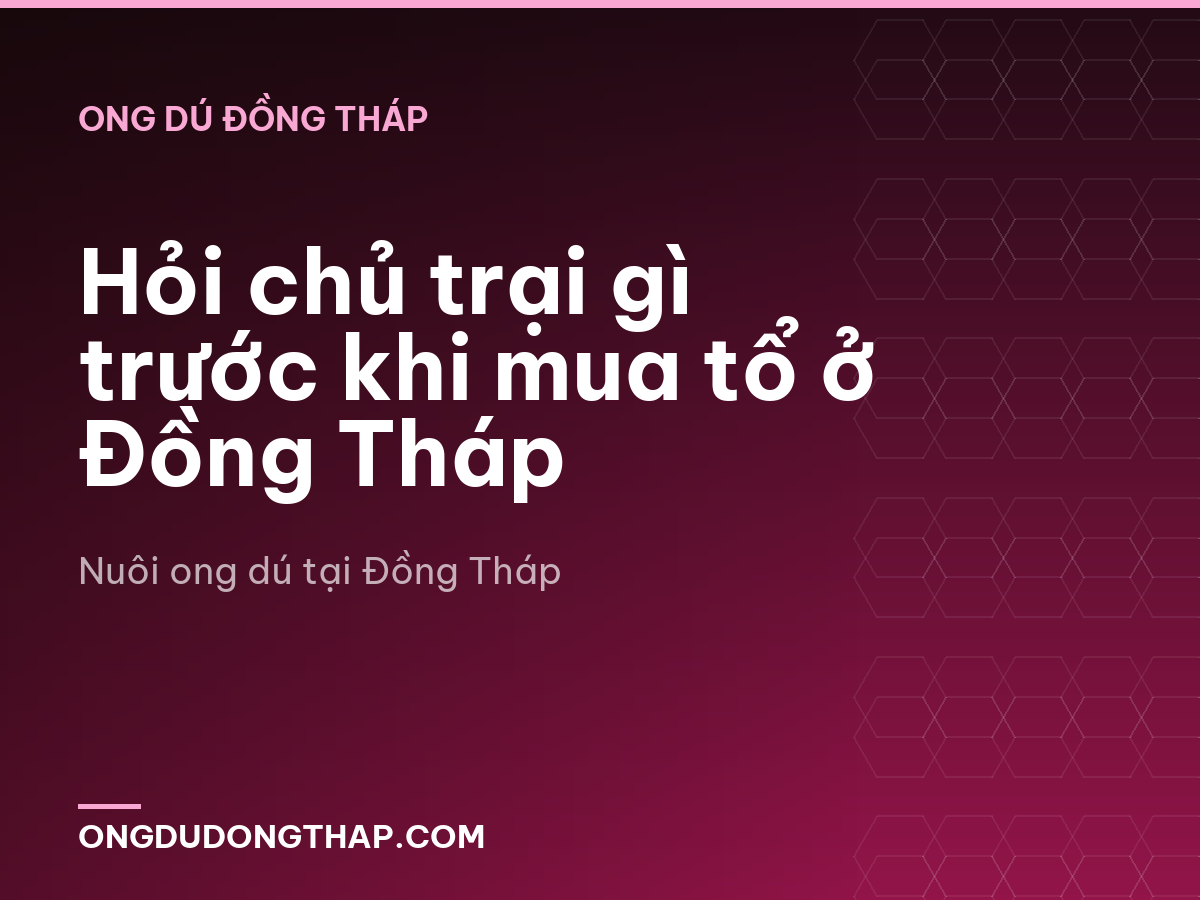 Hỏi chủ trại gì trước khi mua tổ ở Đồng Tháp