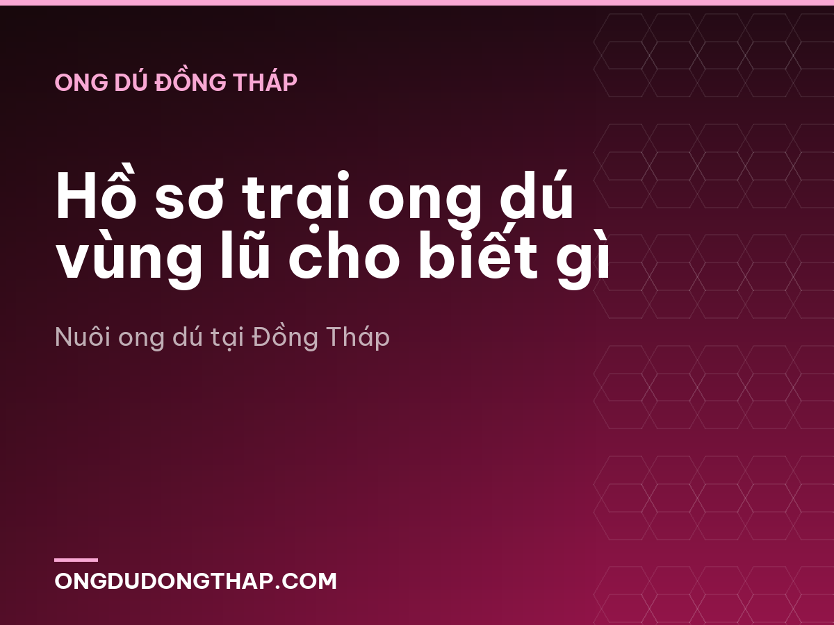 Hồ sơ trại ong dú vùng lũ cho biết gì