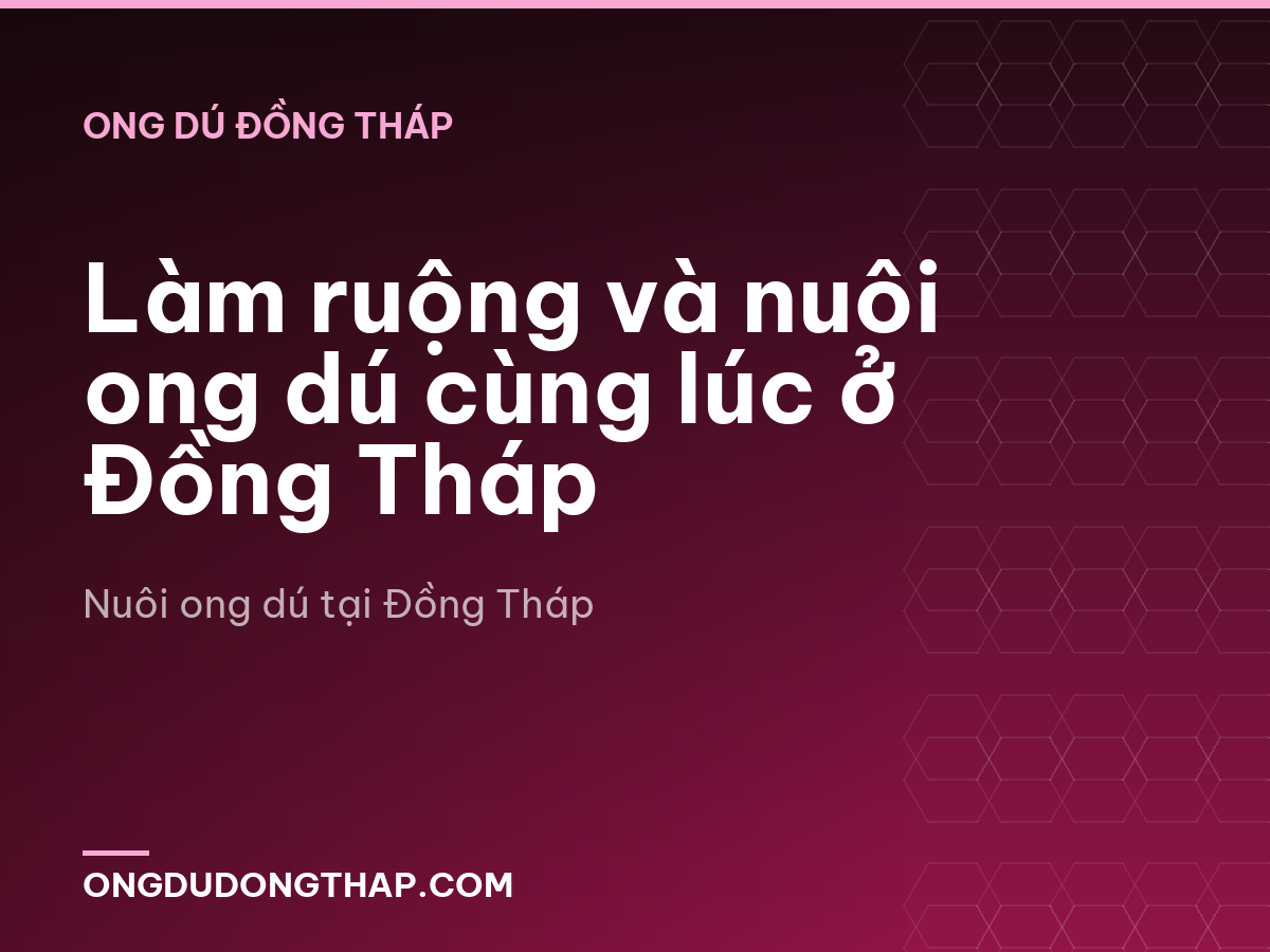 Làm ruộng và nuôi ong dú cùng lúc ở Đồng Tháp