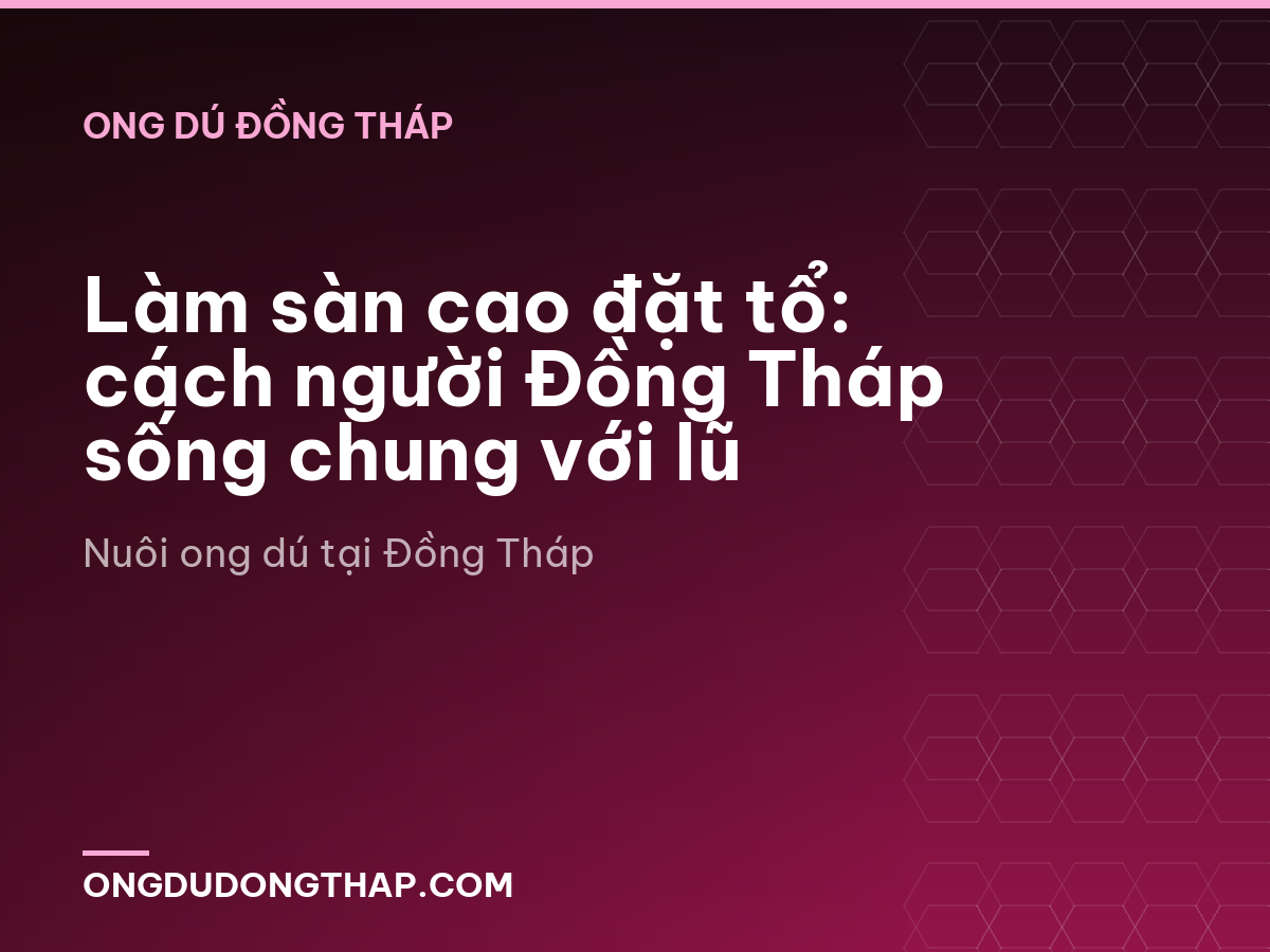 Làm sàn cao đặt tổ: cách người Đồng Tháp sống chung với lũ