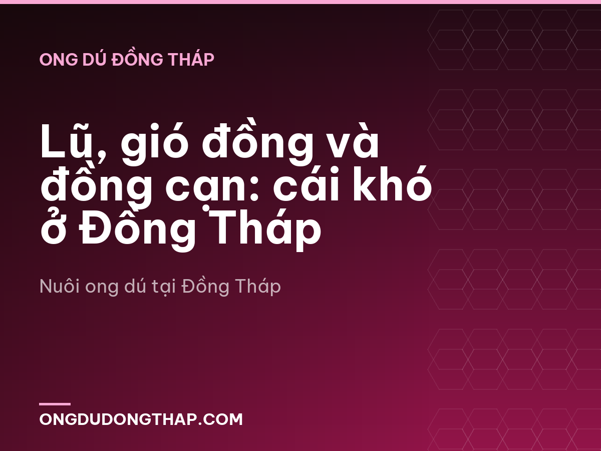 Lũ, gió đồng và đồng cạn: cái khó ở Đồng Tháp