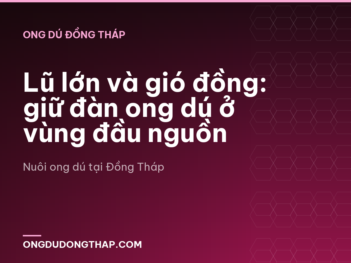 Lũ lớn và gió đồng: giữ đàn ong dú ở vùng đầu nguồn