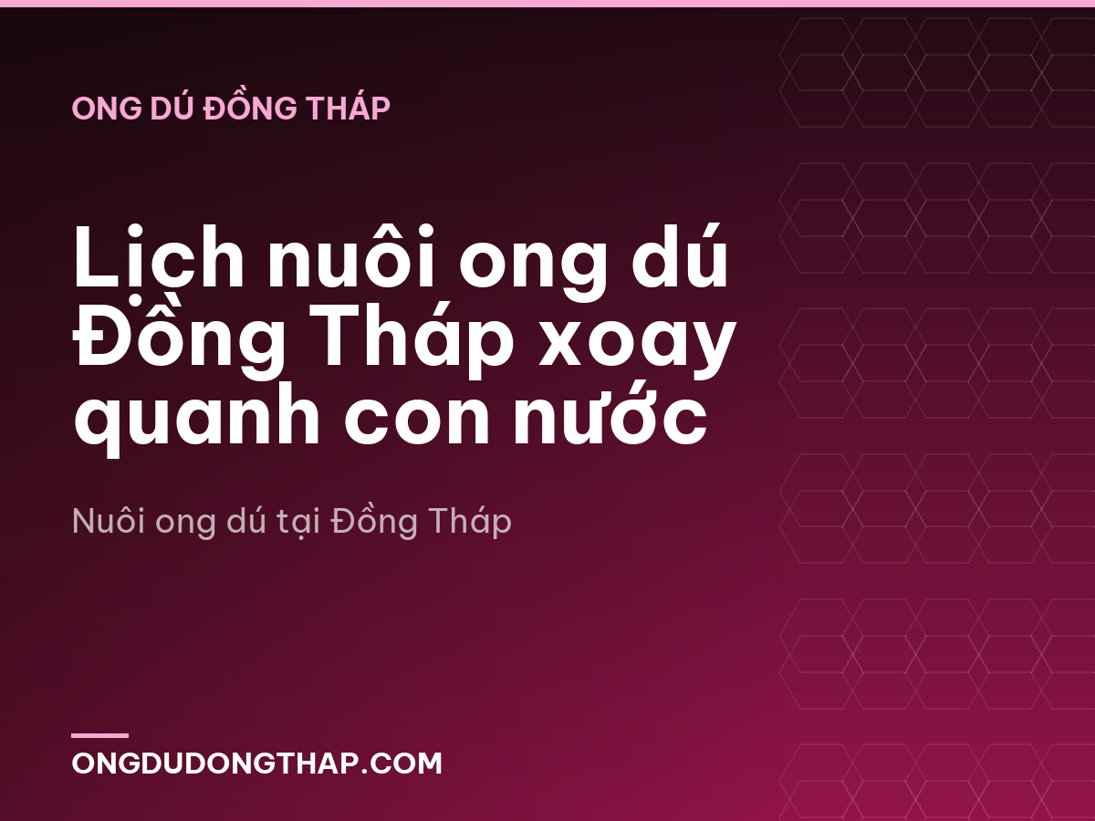 Lịch nuôi ong dú Đồng Tháp xoay quanh con nước