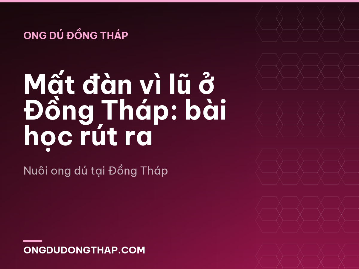 Mất đàn vì lũ ở Đồng Tháp: bài học rút ra