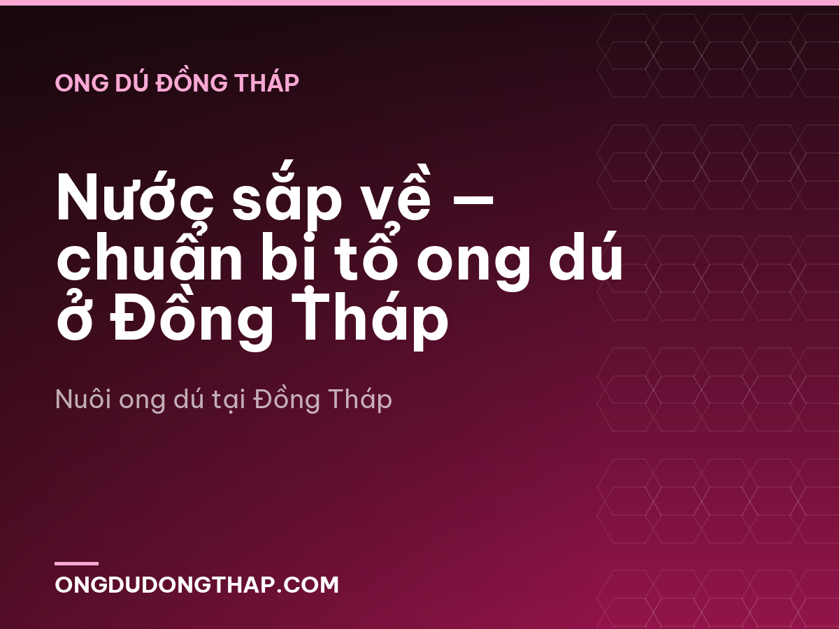 Nước sắp về — chuẩn bị tổ ong dú ở Đồng Tháp