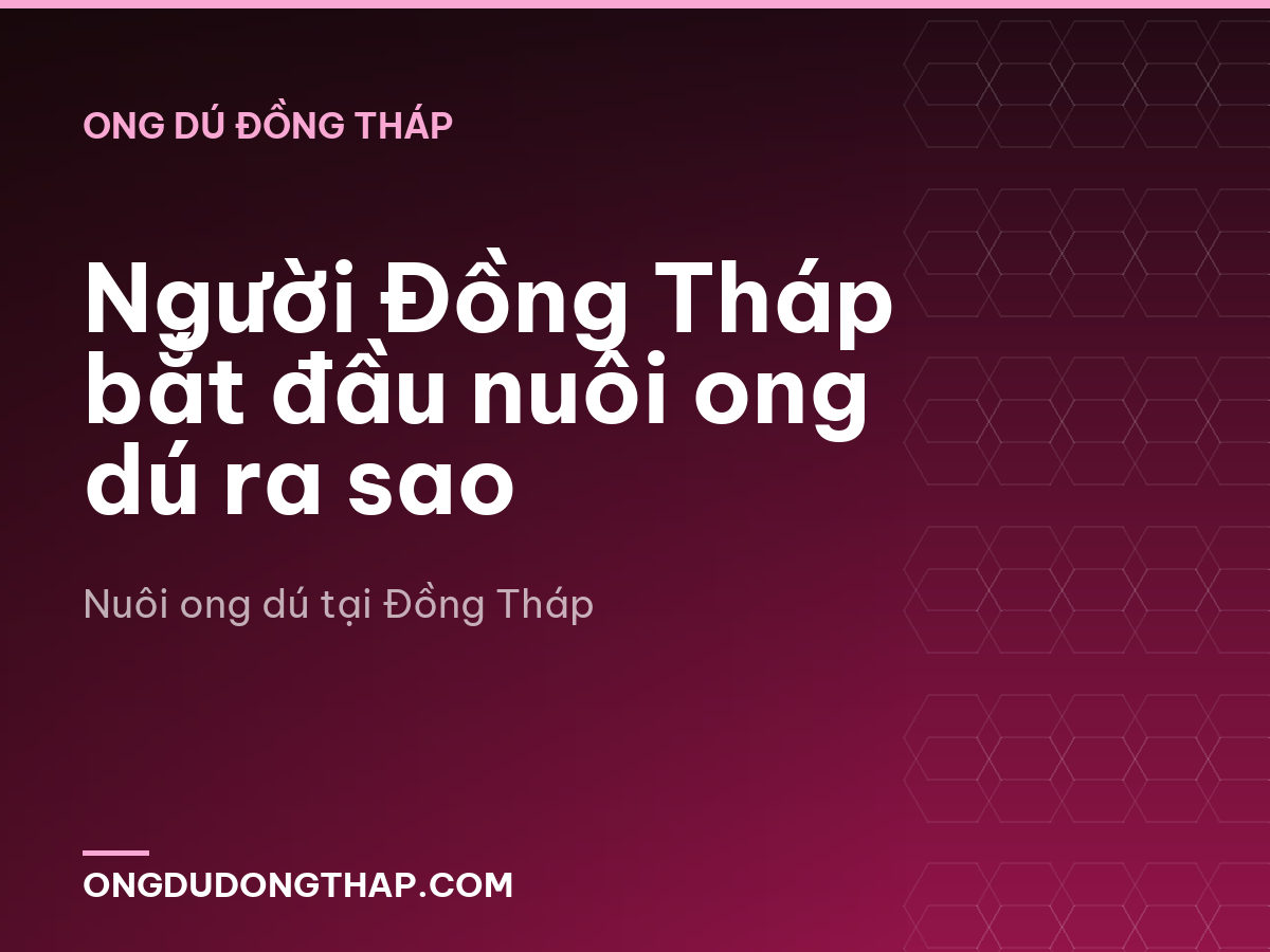 Người Đồng Tháp bắt đầu nuôi ong dú ra sao