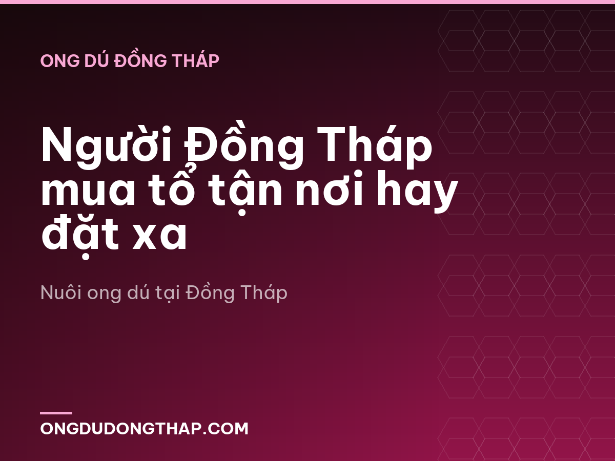Người Đồng Tháp mua tổ tận nơi hay đặt xa