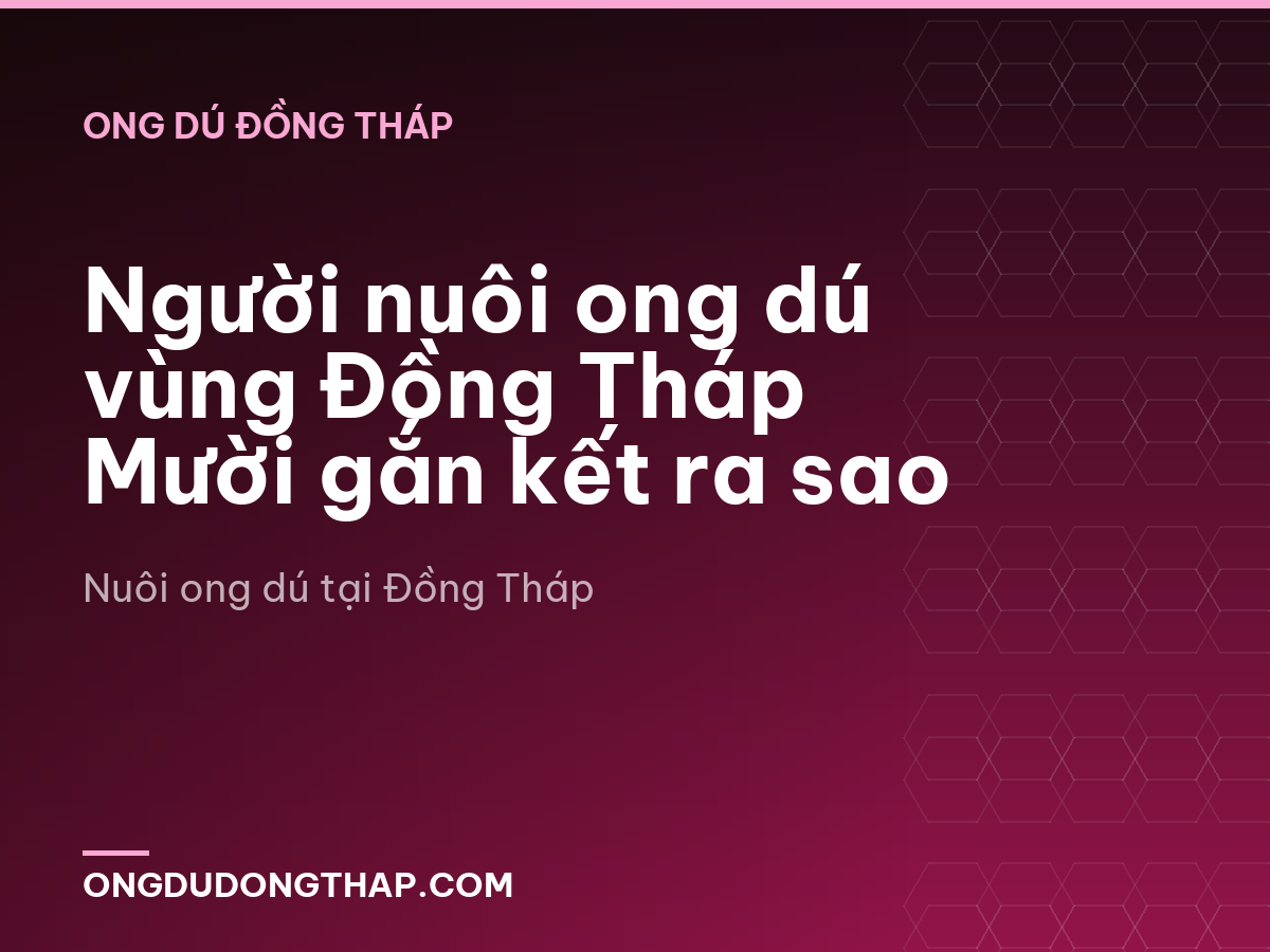 Người nuôi ong dú vùng Đồng Tháp Mười gắn kết ra sao