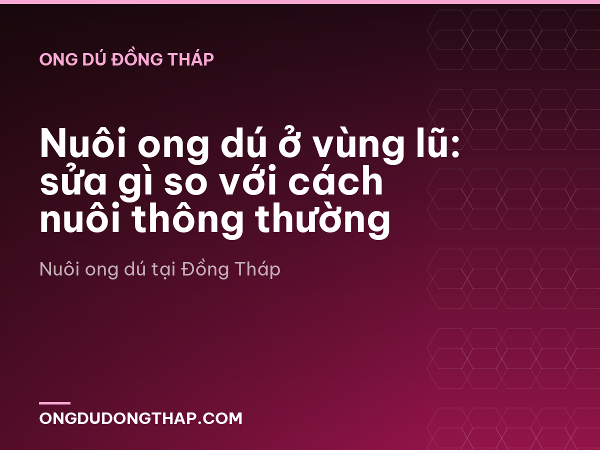 Nuôi ong dú ở vùng lũ: sửa gì so với cách nuôi thông thường