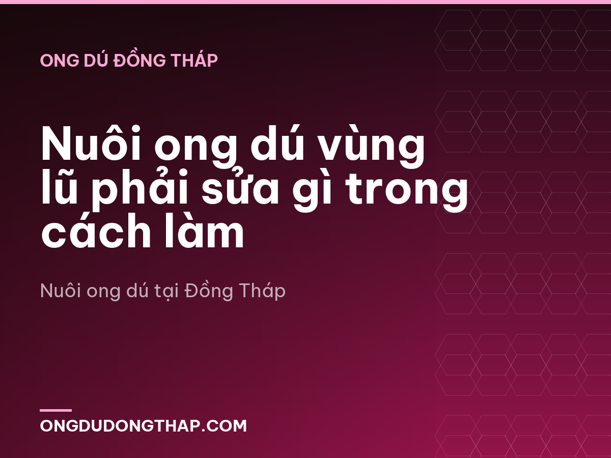 Nuôi ong dú vùng lũ phải sửa gì trong cách làm