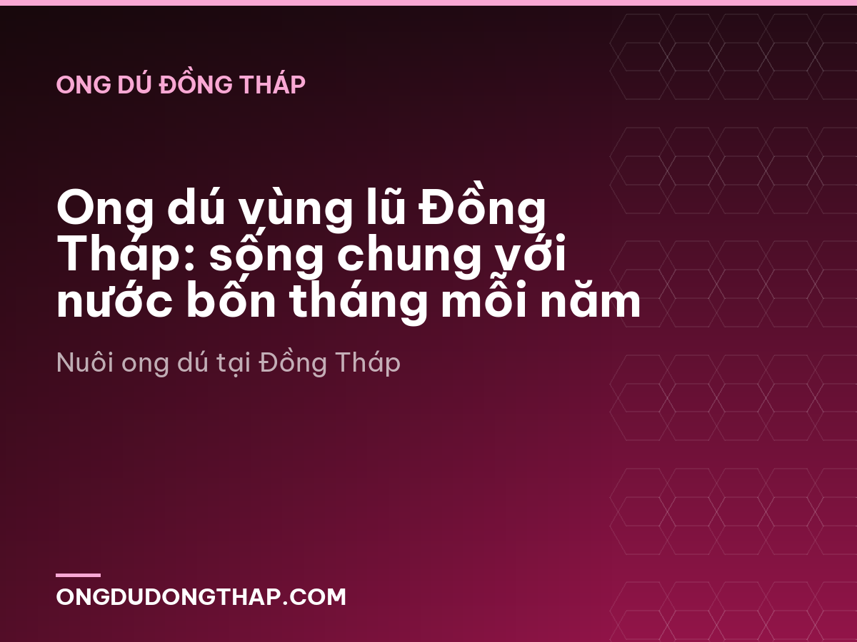 Ong dú vùng lũ Đồng Tháp: sống chung với nước bốn tháng mỗi năm
