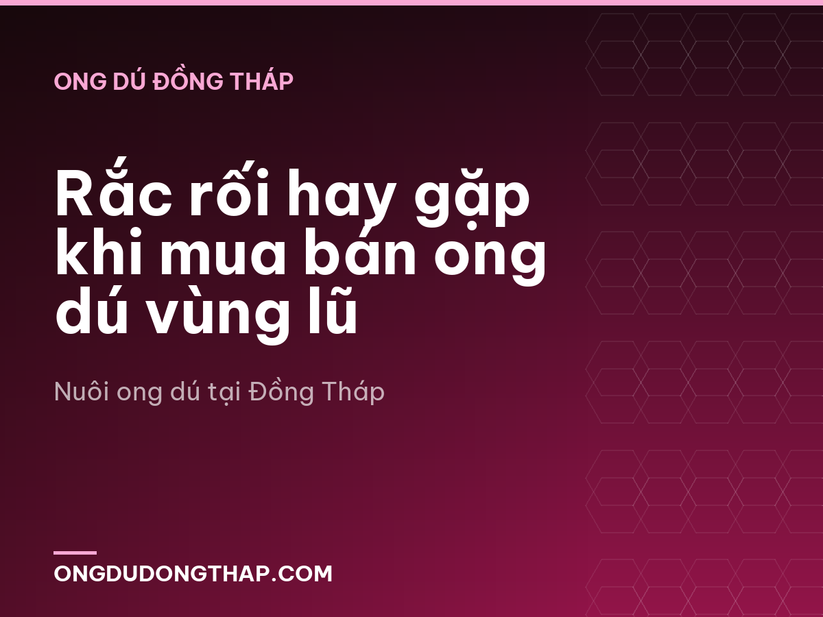 Rắc rối hay gặp khi mua bán ong dú vùng lũ