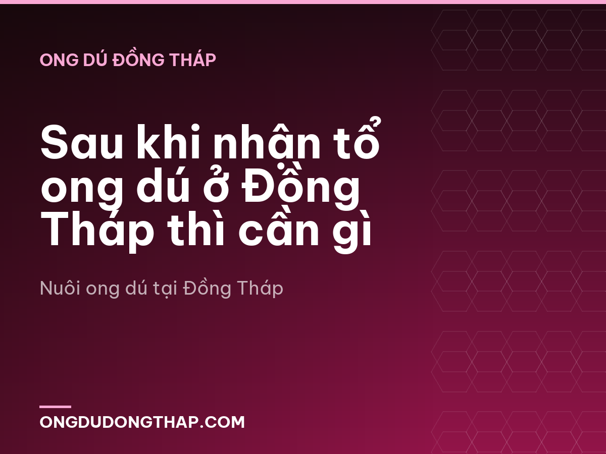 Sau khi nhận tổ ong dú ở Đồng Tháp thì cần gì