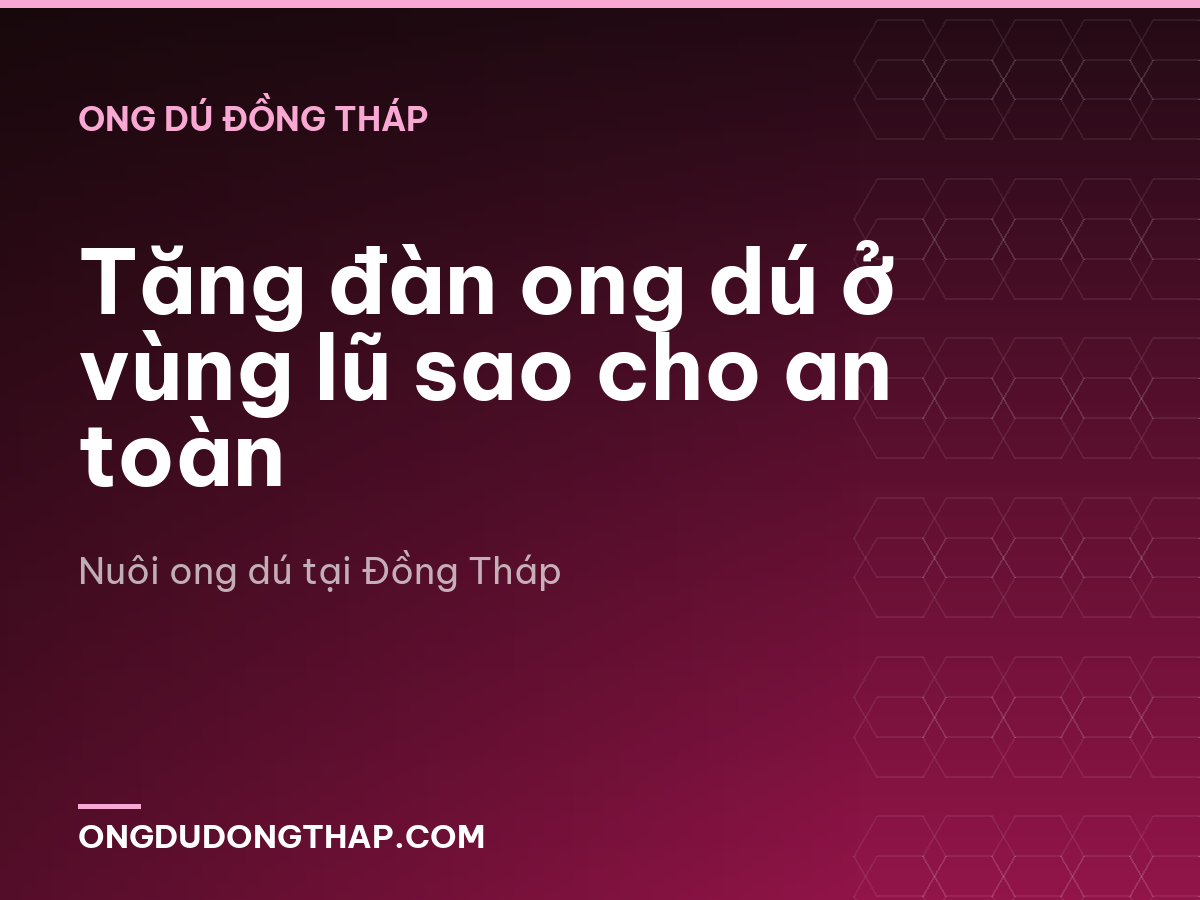 Tăng đàn ong dú ở vùng lũ sao cho an toàn