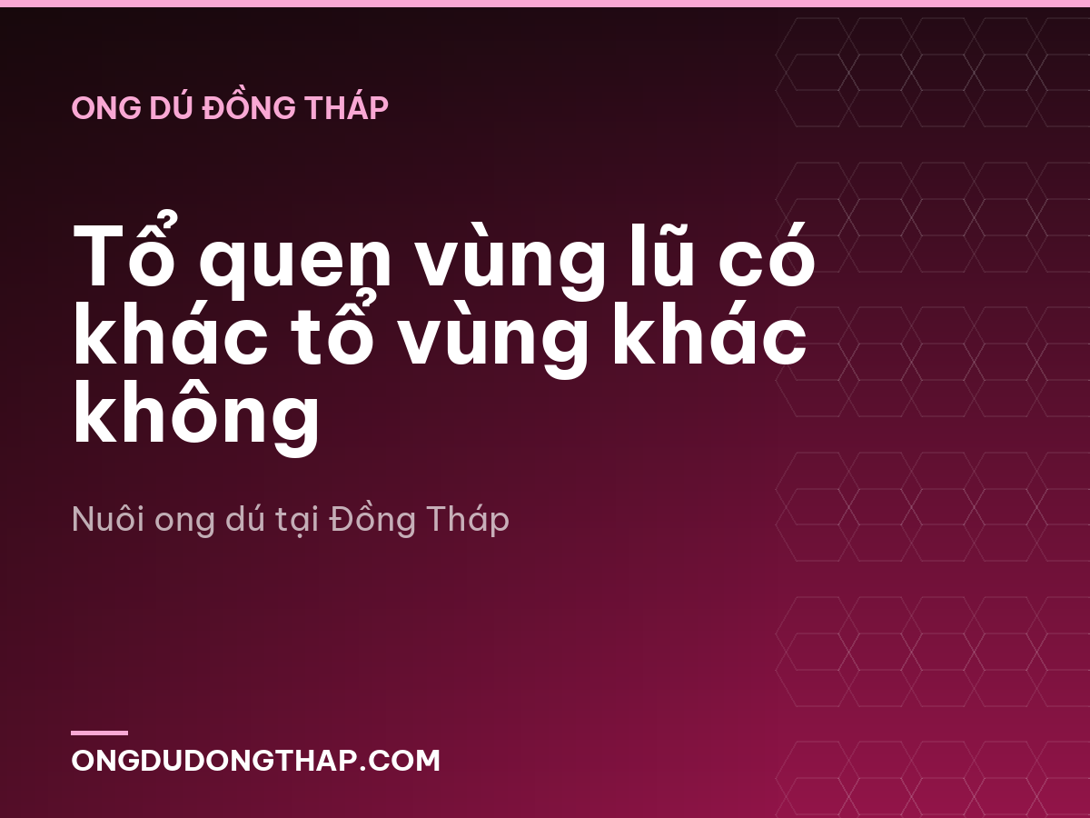 Tổ quen vùng lũ có khác tổ vùng khác không