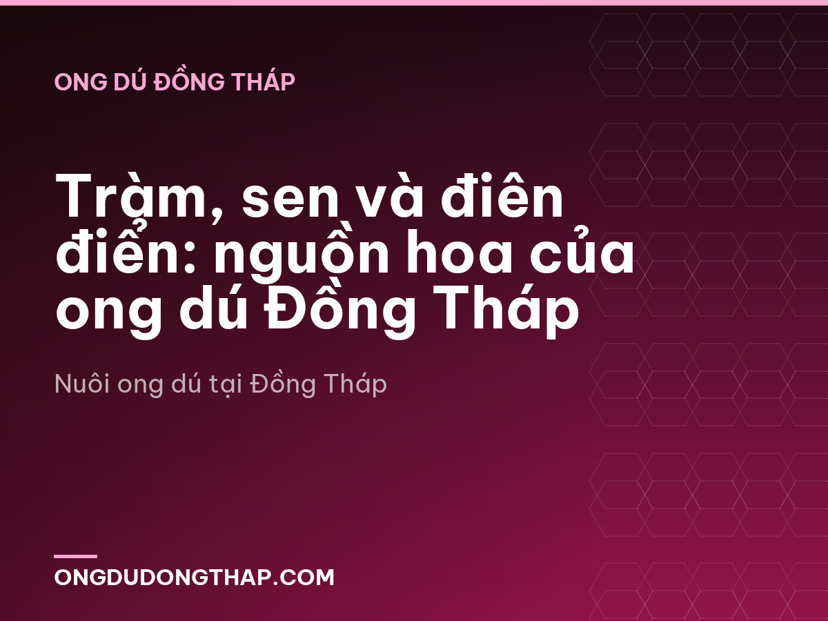 Tràm, sen và điên điển: nguồn hoa của ong dú Đồng Tháp