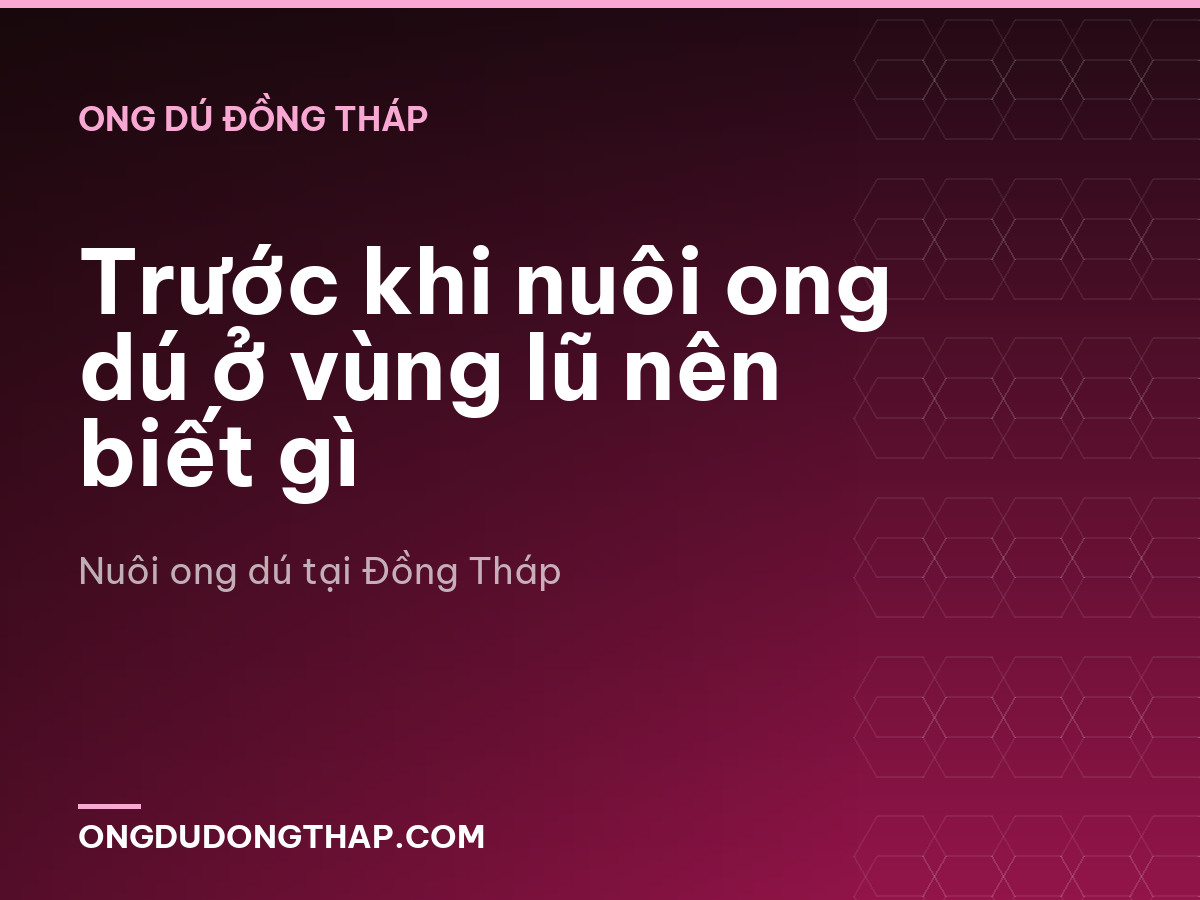 Trước khi nuôi ong dú ở vùng lũ nên biết gì