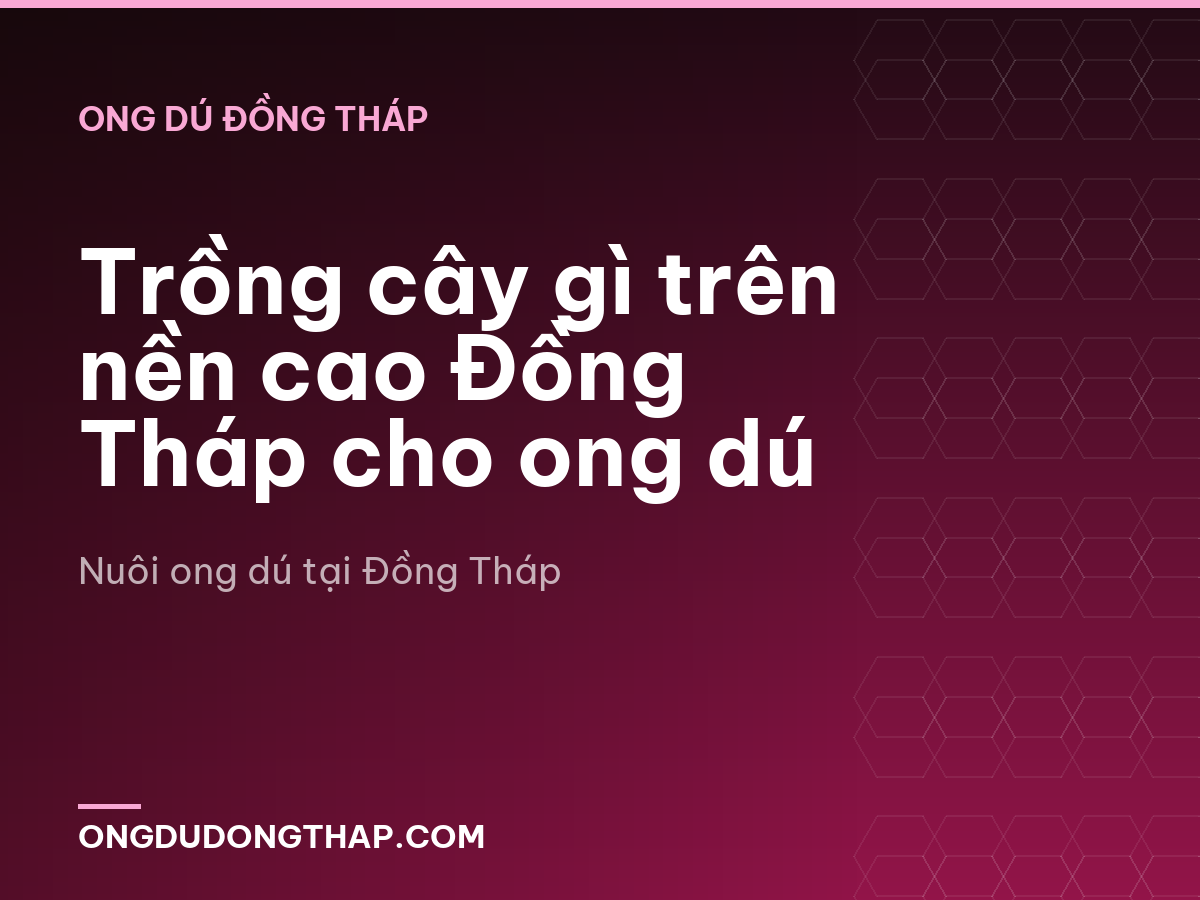 Trồng cây gì trên nền cao Đồng Tháp cho ong dú
