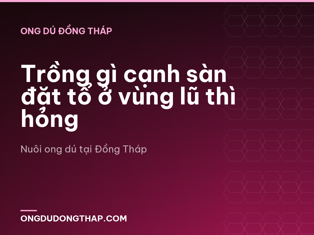 Trồng gì cạnh sàn đặt tổ ở vùng lũ thì hỏng