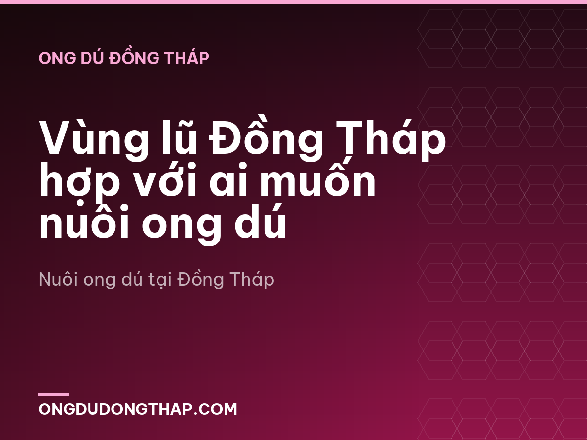 Vùng lũ Đồng Tháp hợp với ai muốn nuôi ong dú