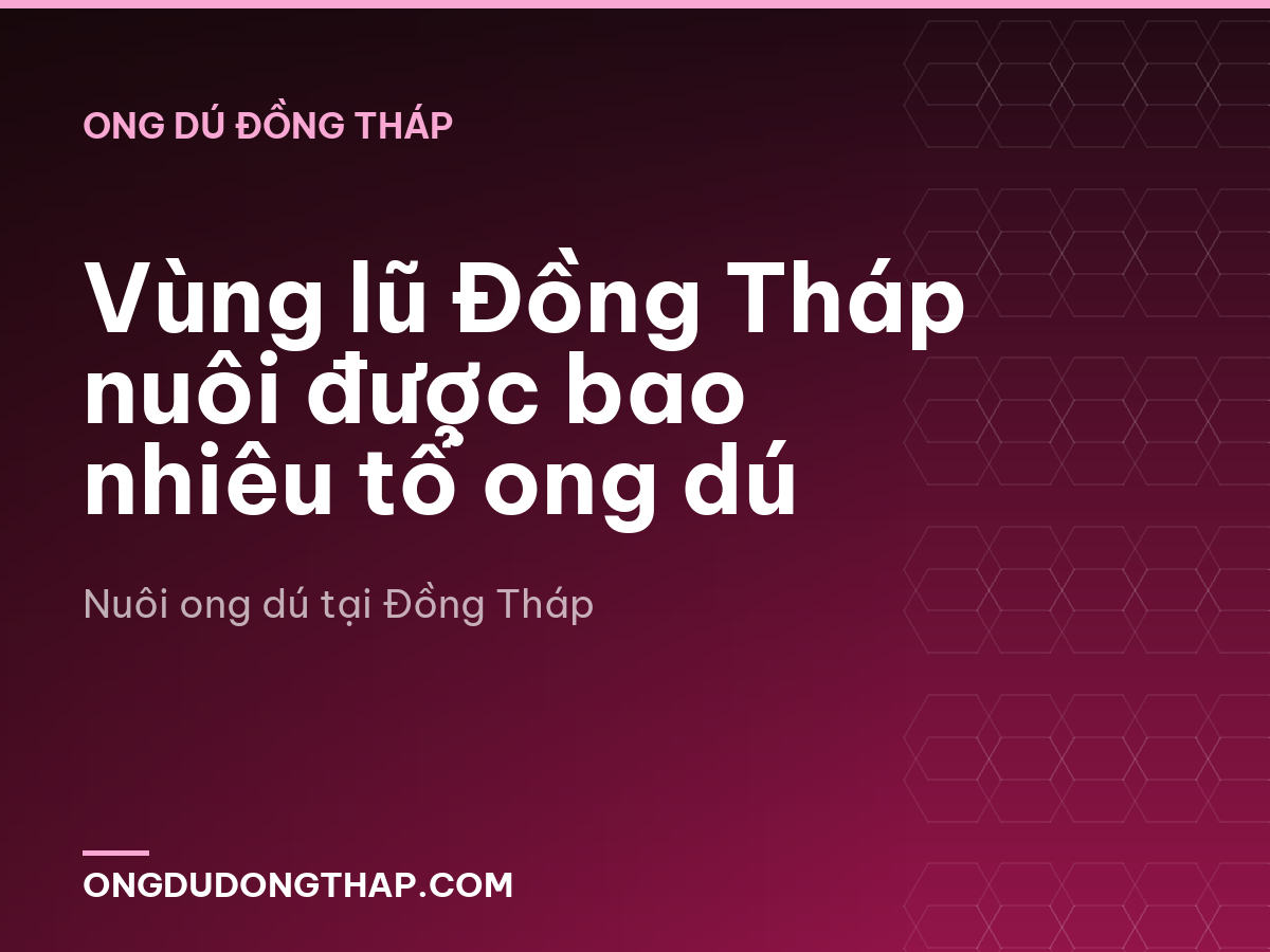 Vùng lũ Đồng Tháp nuôi được bao nhiêu tổ ong dú
