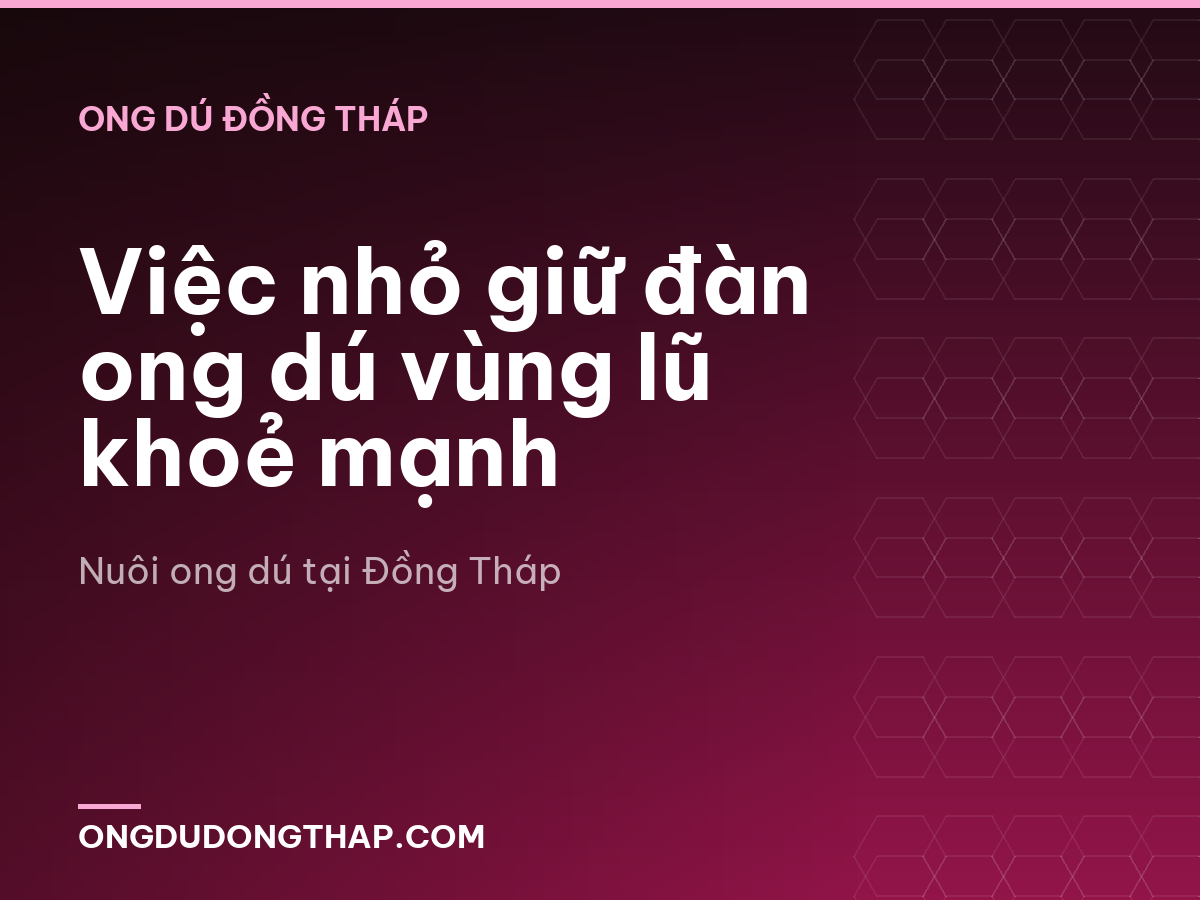 Việc nhỏ giữ đàn ong dú vùng lũ khoẻ mạnh